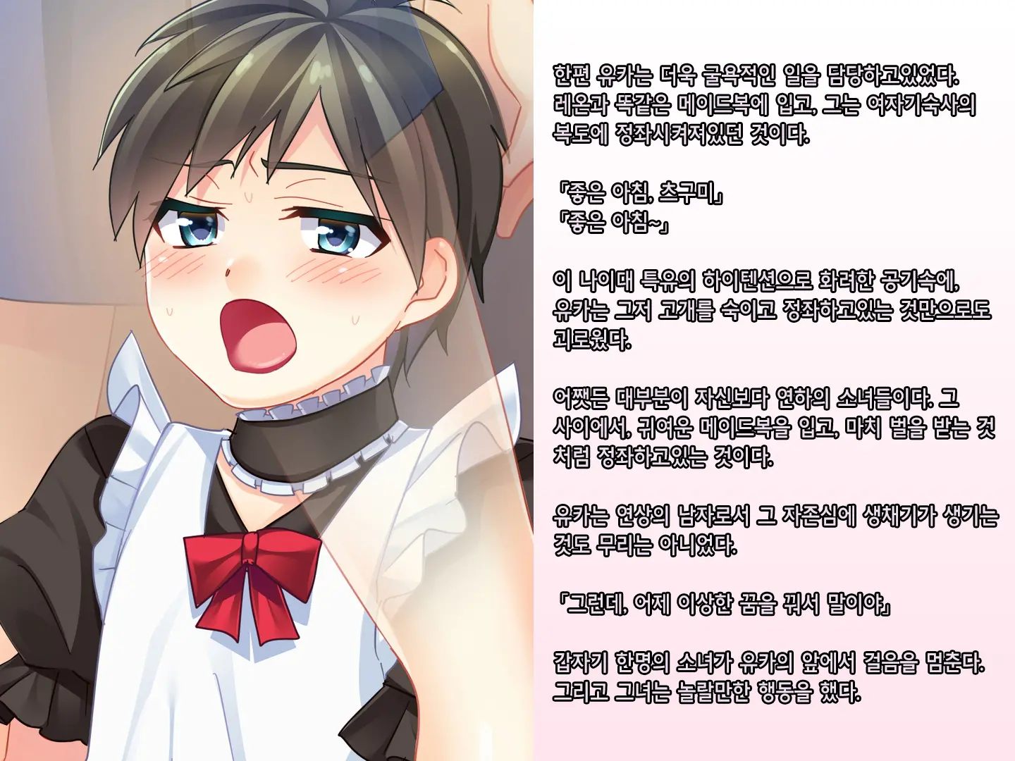 Skirt No Keibaku ~Furyou Shoujo Kyousei Shisetsu Nite Futanari Shoujo-Tachi Ni Josou Choukyou Sareru Furyou Shounen-Tachi~